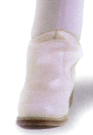 bootc07z.jpg